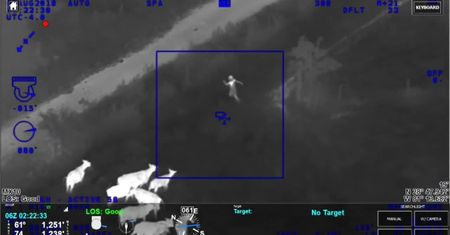 Krowy zapędziły złodziejkę samochodów w ręce policjantów. Pościg w USA zarejestrowała kamera śmigłowca