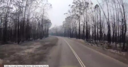 Spalone drzewa i zerwane linie energetyczne. Kierowca jechał zniszczoną przez pożar drogą w Australii