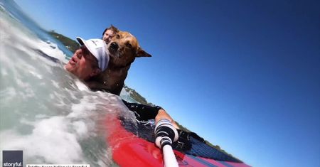 Surfer uratował psa po przewróceniu się kajaka