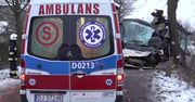 Autobus wiozący dzieci uderzył w drzewo. 10 osób w szpitalu