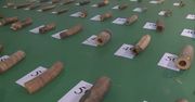 Chińscy celnicy rozbili gang przemytników kości słoniowej.