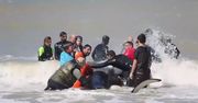 Ratownicy i ochotnicy uratowali sześć orek, które utknęły na plaży w Argentynie