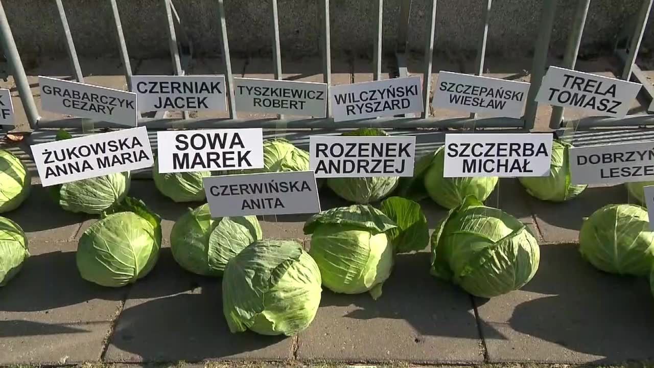 Protestujący rolnicy ułożyli przed Sejmem 356 główek kapusty