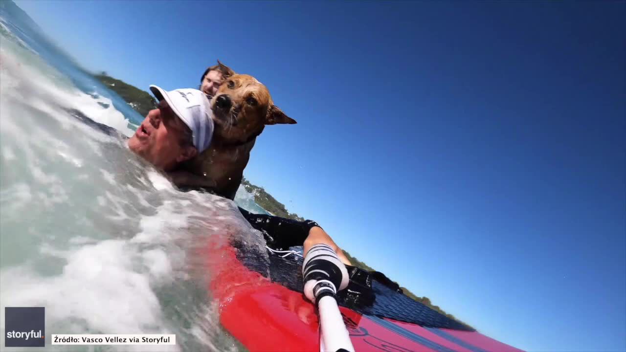 Surfer uratował psa po przewróceniu się kajaka