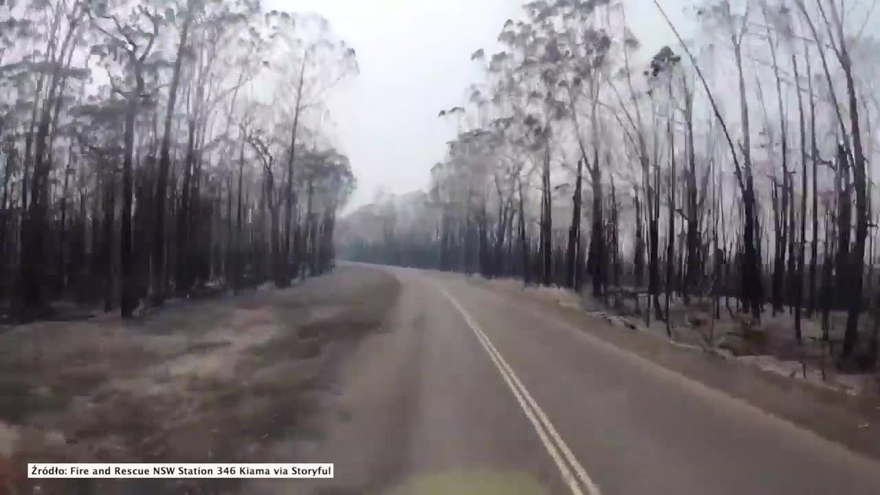 Spalone drzewa i zerwane linie energetyczne. Kierowca jechał zniszczoną przez pożar drogą w Australii