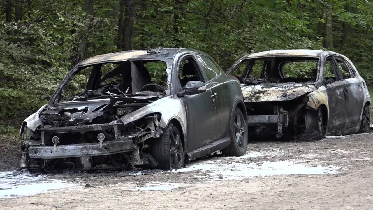 Pięć samochodów spłonęło na drodze leśnej w Bieszkowicach. Policja bada przyczyny pożaru