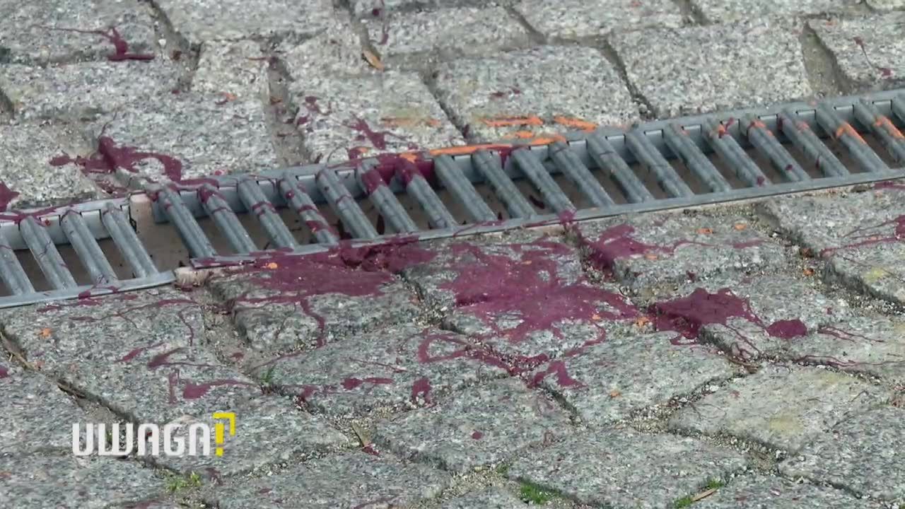 Atakowani 25 razy! „Chyba ktoś musi zostać zamordowany, żeby to się skończyło”