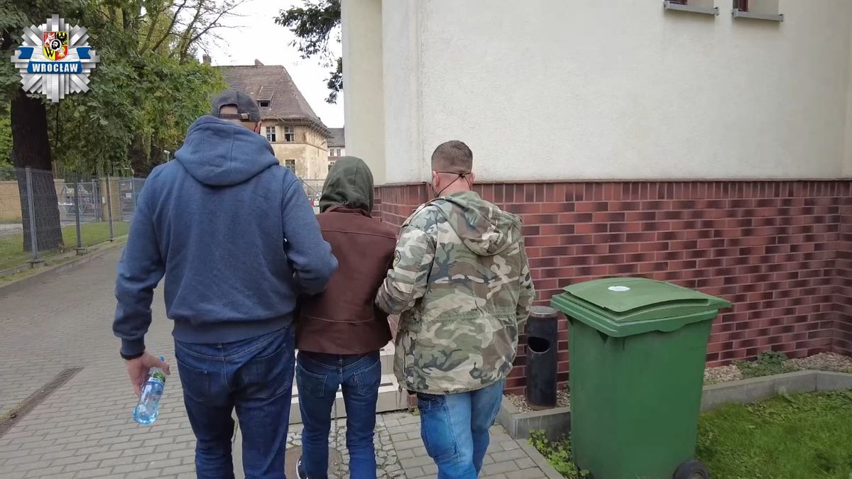 zdjęcie