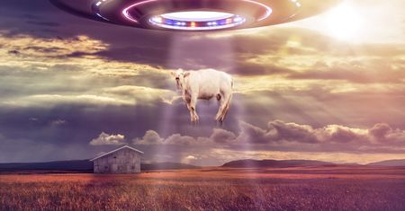 UFO nie istnieje? Sprawdź, co o nim wiesz!