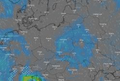 Pogoda. Zaczęła się astronomiczna zima. Na termometrach nawet +11 st. C