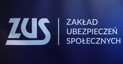Składki ZUS w 2020 r. Przedsiębiorcy zapłacą rekordowo wysokie składki