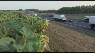 Konwój humanitarny opuścił bazę wojskową; zmierza w kierunku granicy