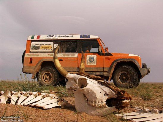 Potwór już wkrótce w Polsce - Iveco Massif