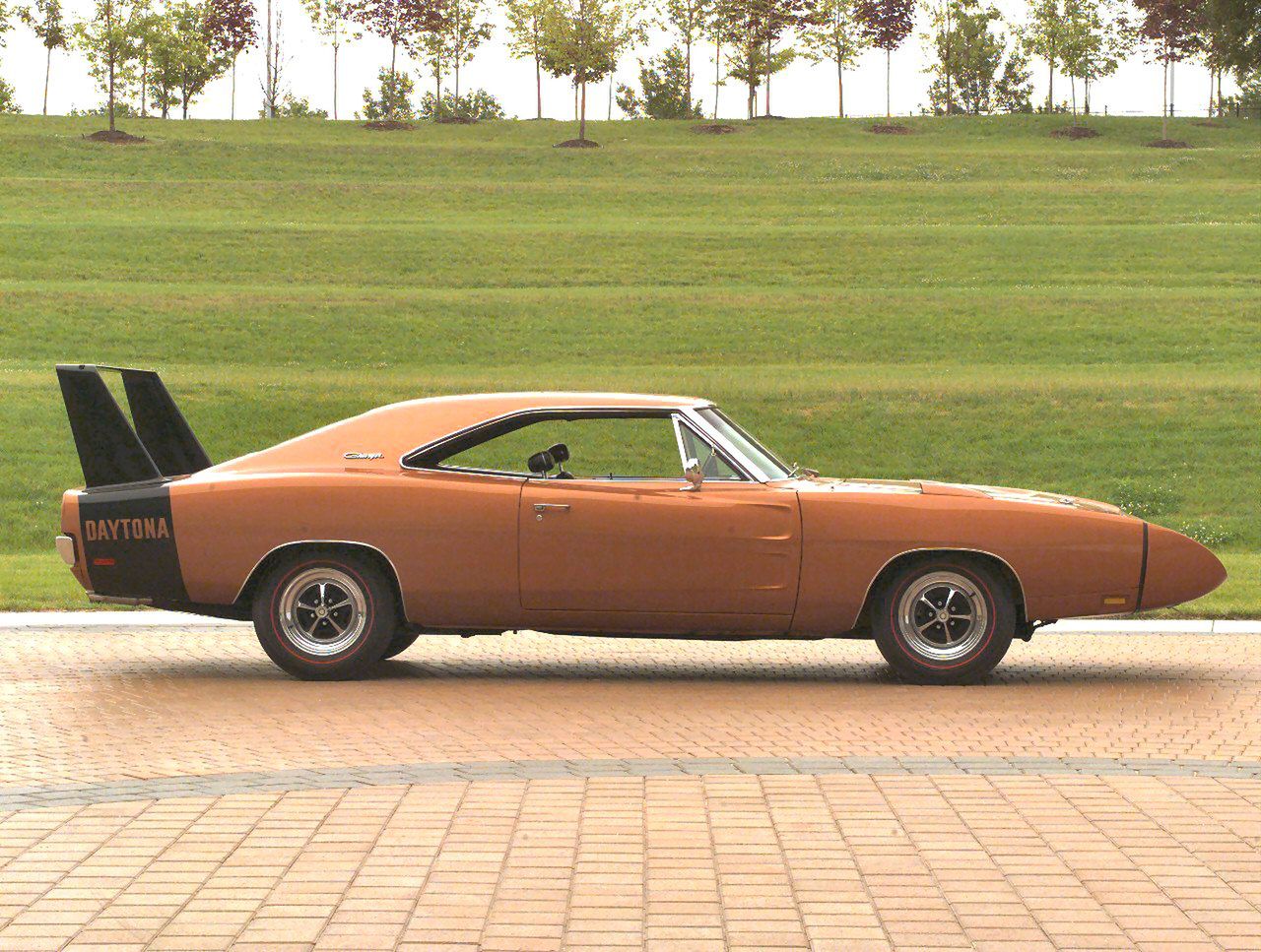 American Muscle - tylko dla prawdziwych mężczyzn! [galeria] 15