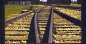 Jak uczyć o Auschwitz i holokauście - publikacja Muzeum Auschwitz