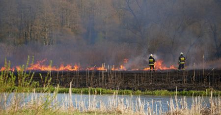 Pożar łąk nad Notecią