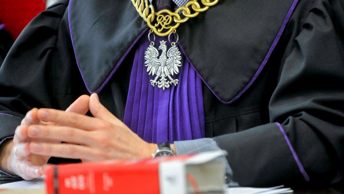 Z dokumentów, do których dotarła Wirtualna Polska, wynika, że sę