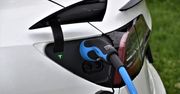 Które elektryki najbardziej lubią Polacy? Jedna marka góruje nad resztą