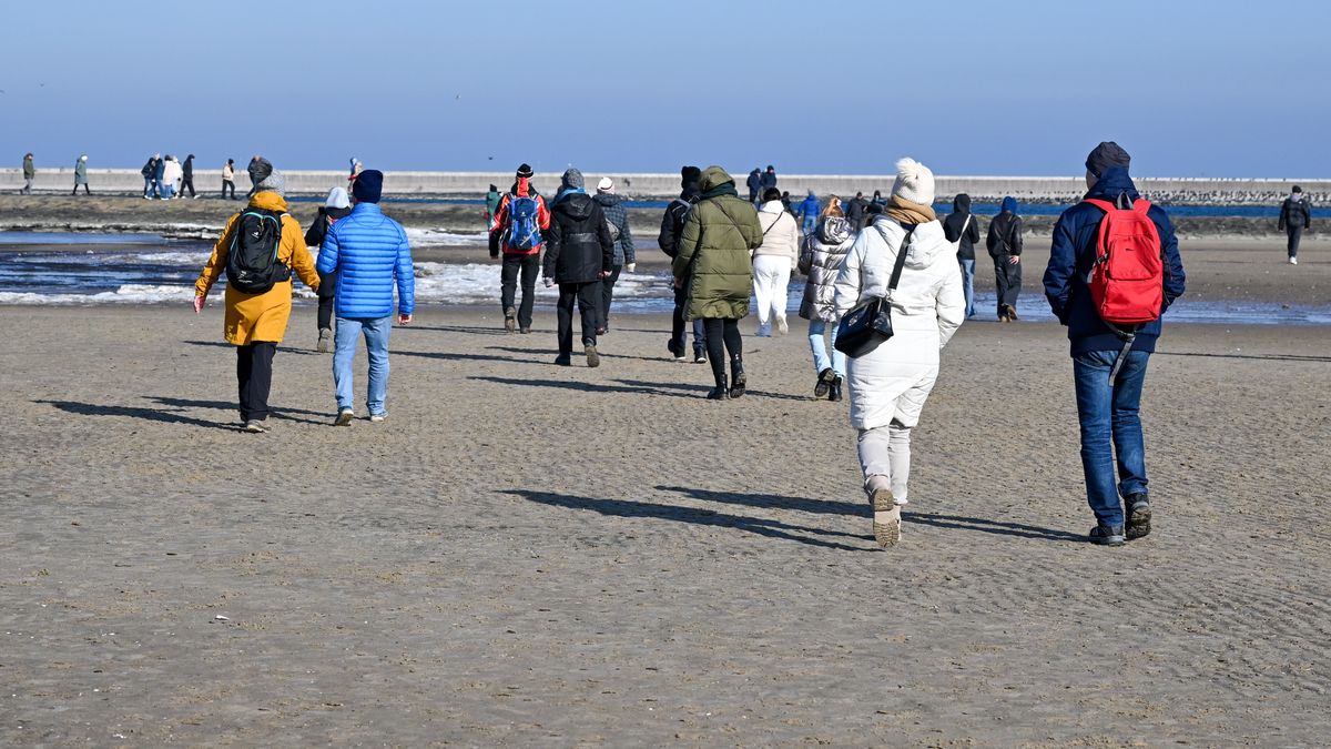 wypoczynek nad morzem
Marcin Bielecki
morze, pla�a, pogoda, s�o�ce, spacer, zima, ilustracja ilustracje, turystyczne, turystyka, widok