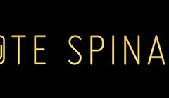 87 nominacji do Złotych Spinaczy 2017. Po raz pierwszy zostanie przyznany Tytanowy Spinacz