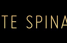 87 nominacji do Złotych Spinaczy 2017. Po raz pierwszy zostanie przyznany Tytanowy Spinacz