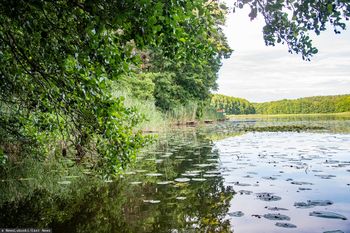 15-latek utonął na obozie harcerskim. Opiekun i ratownik staną przed sądem