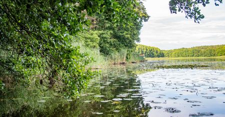 15-latek utonął na obozie harcerskim. Opiekun i ratownik staną przed sądem