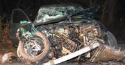 Lipowiec: Kierowca audi tłumaczy, że wybiegła mu sarna. 21-latek bez prawa jazdy i jego koleżanka zabrani do szpitala