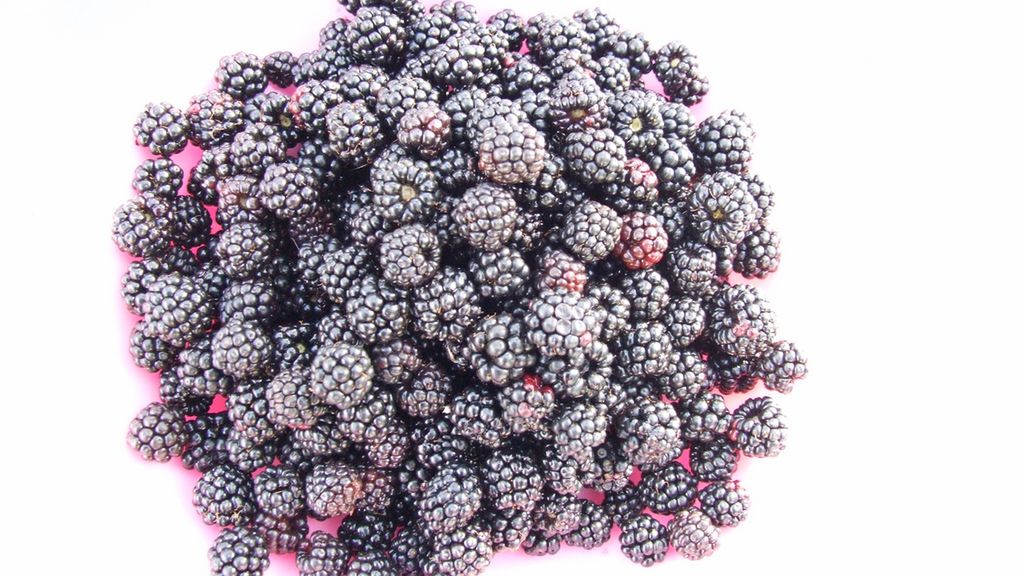 Mrożone jeżyny z dodatkiem cukru