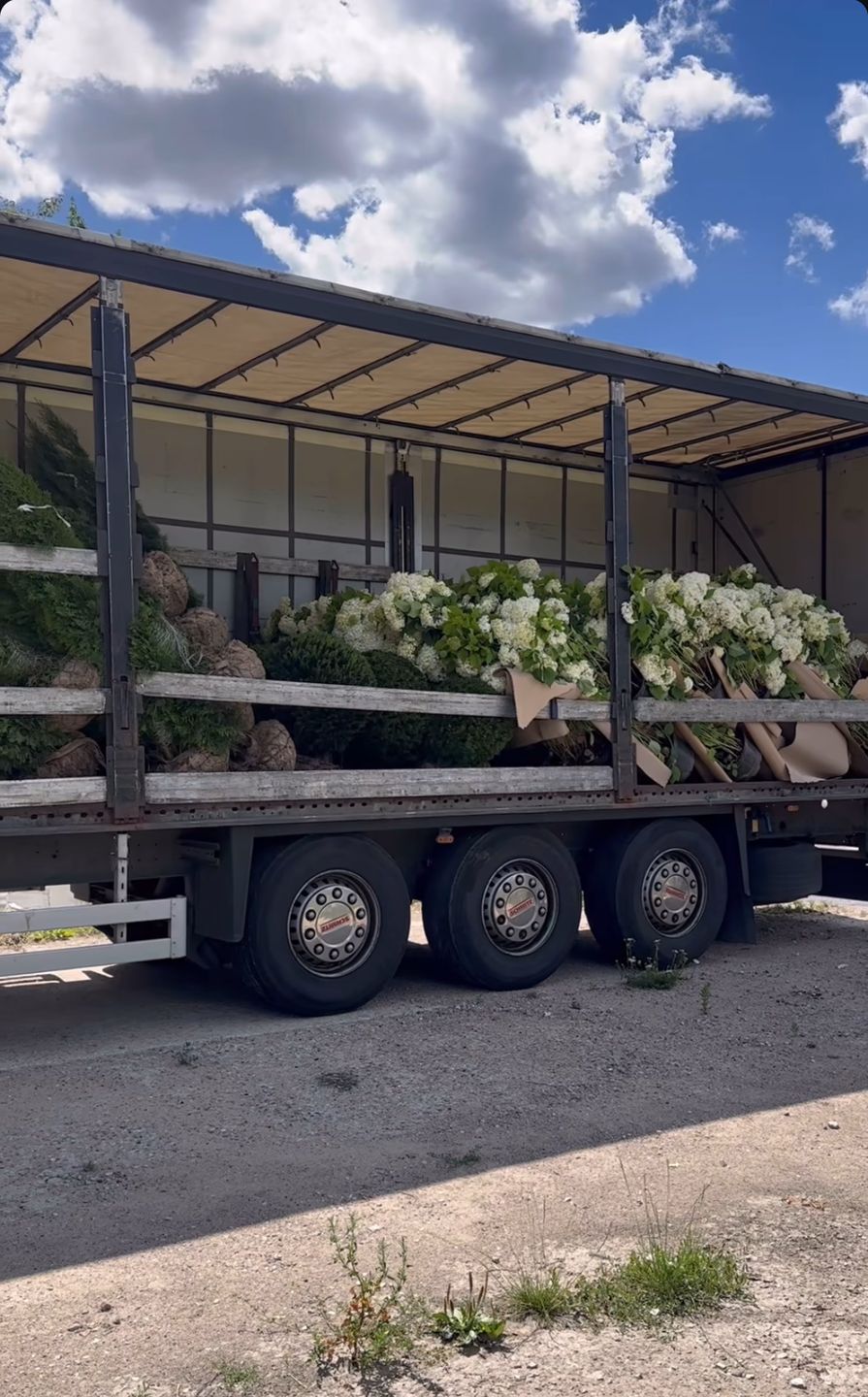 Andziaks pochwaliła się roślinami do ogrodu