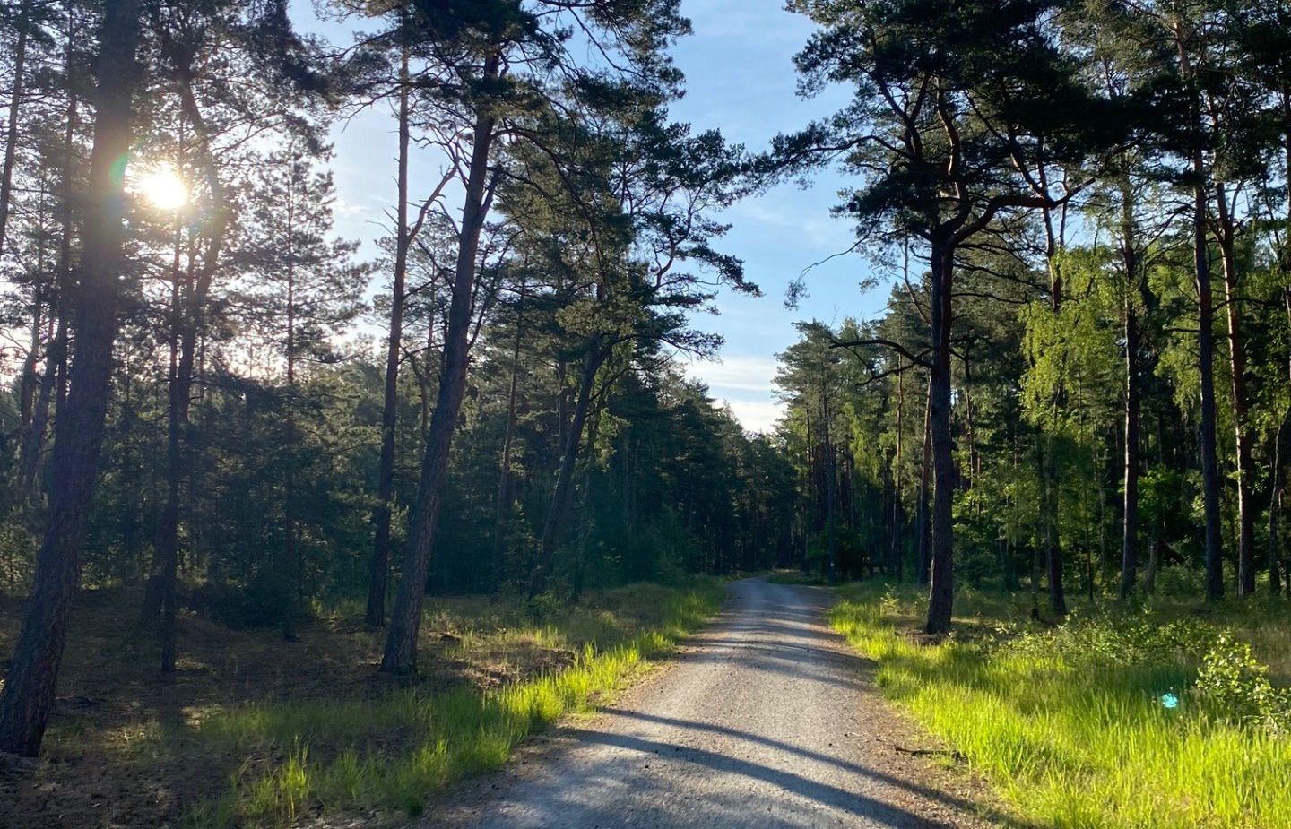 Rowerowe wycieczki po Wyspie Sobieszewskiej to czysta przyjemność 