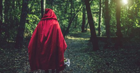 Czy znasz baśnie Braci Grimm? Quiz dla prawdziwych ekspertów