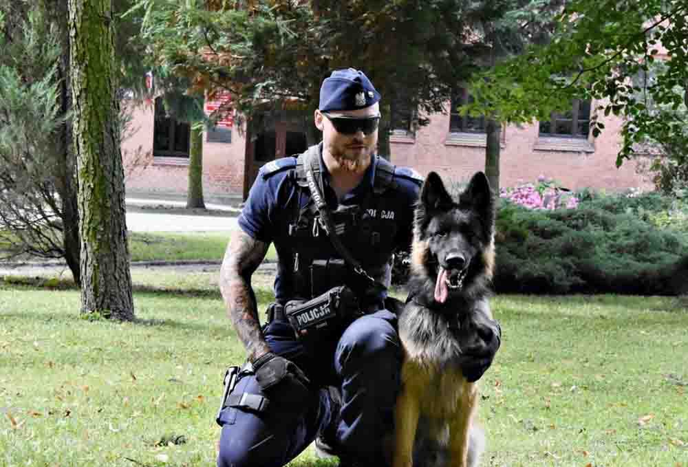 Strzelce Krajeńskie: Nowy „policjant” Tobi to specjalista narkotyków