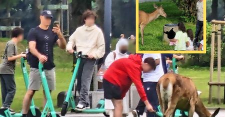 Nawet 5 lat więzienia dla rodziców. Policja pokazała zdjęcia
