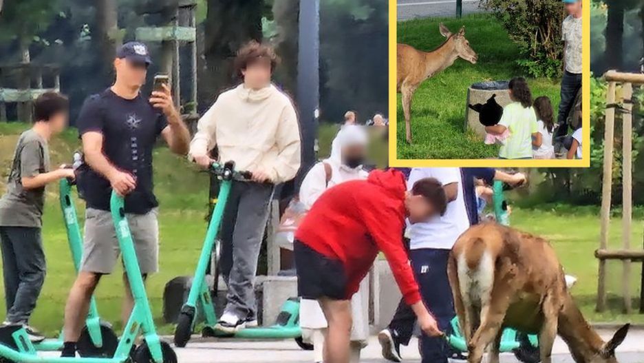 Myślą, że to atrakcja turystyczna. Grozi za to nawet więzienie