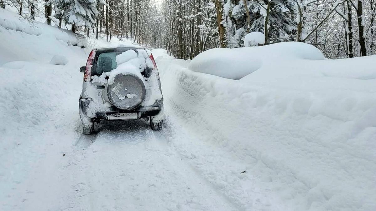 Leśnicy pokazali zdjęcie z Beskidów.