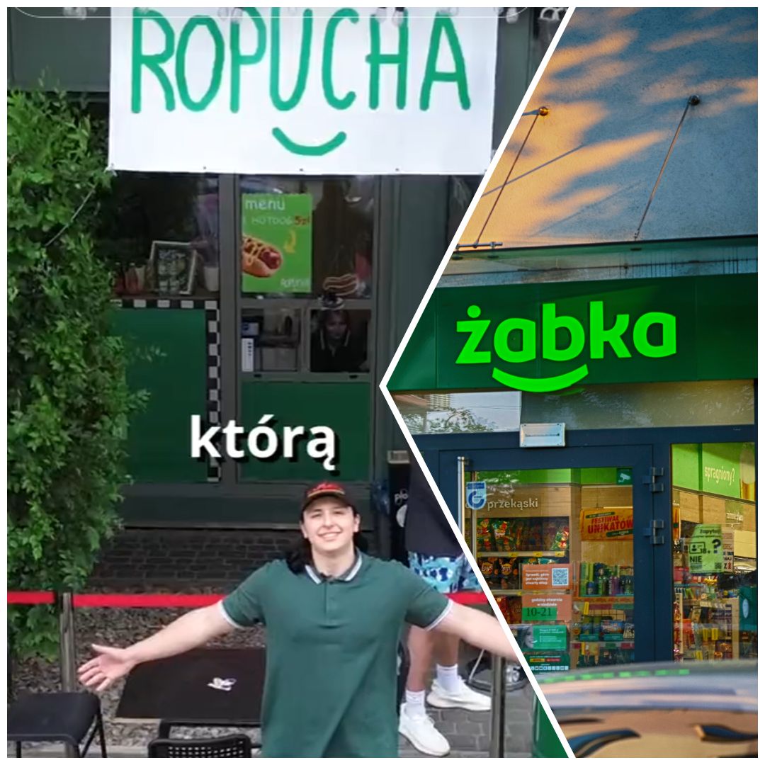 ropucha, żabka, sklep