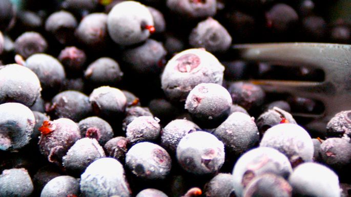 Mrożone jagody bez dodatku cukru