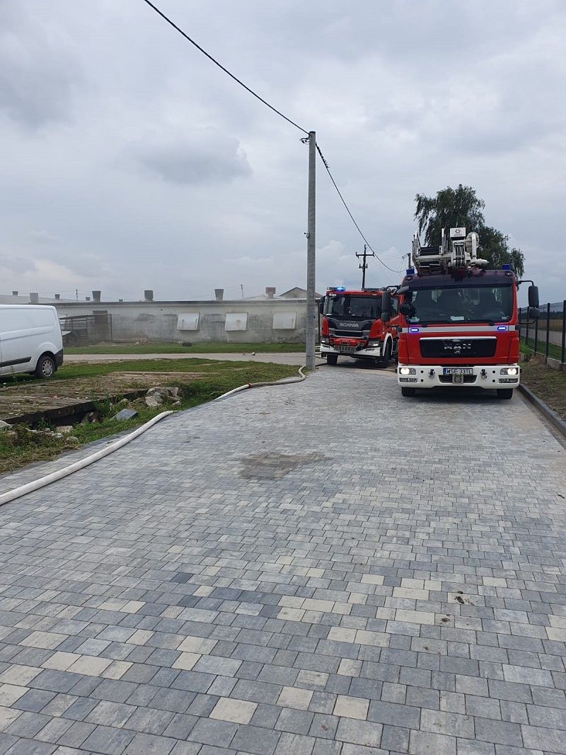 Pożar kurnika