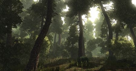 Galeria: Risen