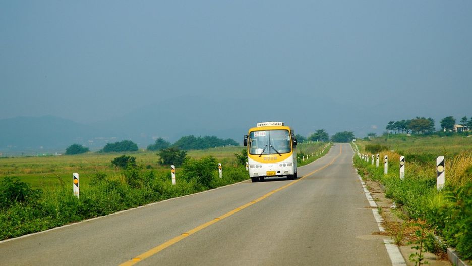 Powiaty planują nowe autobusy Pułtusk–Ciechanów/ Obraz dae jeung kim z Pixabay