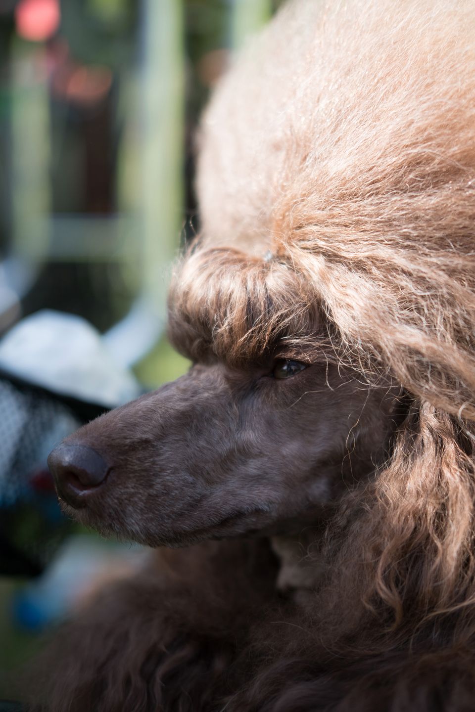 Fujifilm X-T2 - test bezlusterkowego profesjonalisty 130