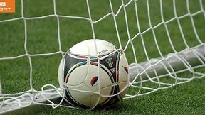 Niemcy - Algieria: Honorowy gol Djabou