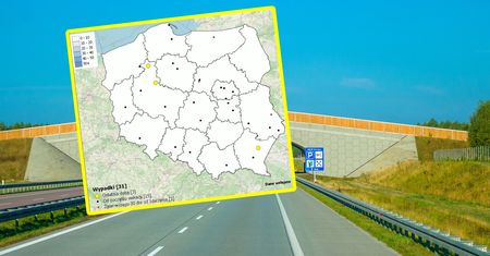 Mapa, którą powinien zobaczyć każdy. Wraca głośna akcja