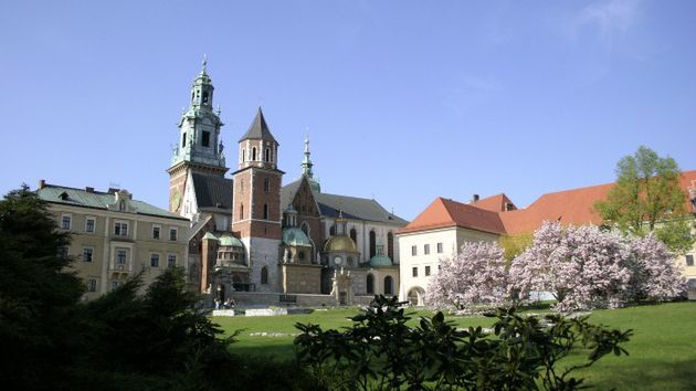 Obraz