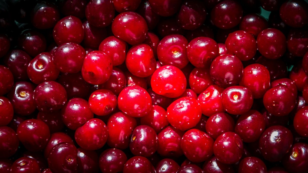 Wiśnie w puszce w ciężkim syropie (owoce i płyn)