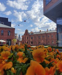 Startuje Klimatyczna Wiosna Konesera, czyli kilkadziesiąt bezpłatnych ekowydarzeń w Centrum Praskim Koneser