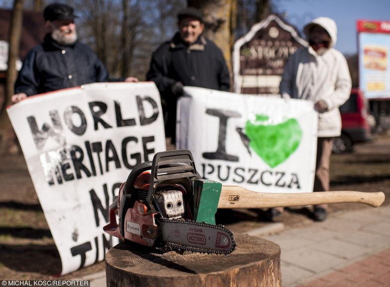 Delegacja Komisji Europejskiej zakończyła wizytę w Puszczy Białowieskiej