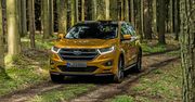 Ford Edge 2.0 TDCi (2016) - zdjęcia, bagażnik, wnętrze