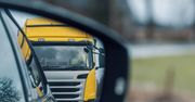 Włocławek: Sarny przy ruchliwych drogach. Kierowcy uważajcie